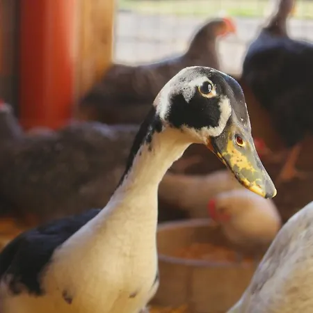 Hof Von Felde Prázdninový dům *