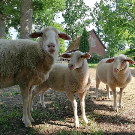 Hof Von Felde * Soltau