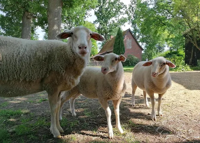 Hof Von Felde * Soltau